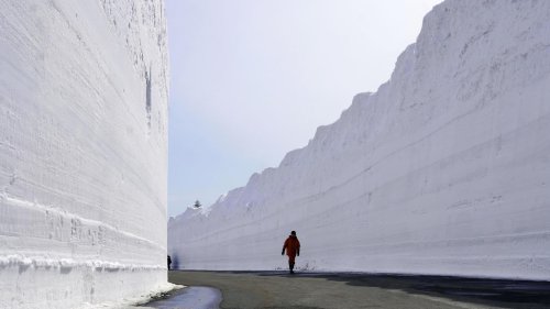 Die schönsten Wetter- und Naturbilder: Die Schnee-Attraktion Hakkoda-Towada Gold Line ist eröffnet | wetter.de