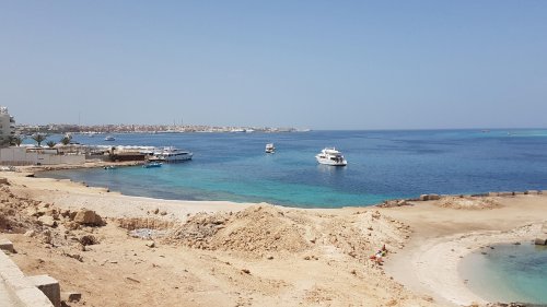 Tödliche Hai-Attacken in Ägypten - Experte: Darum könnten Tiere so nah am Strand unterwegs sein | wetter.de