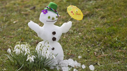 7-Tage-Wettertrend: Tschüss Schnee! Der Frühling nimmt Anlauf - mit 15 Grad und Sonnenschein | wetter.de