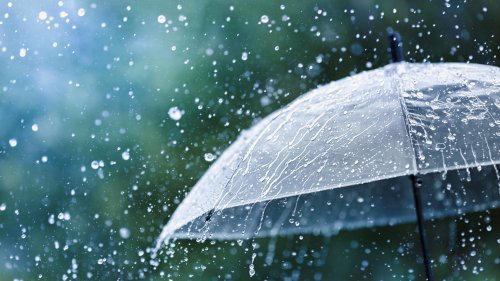 Wetterbericht zum 25.02.2024: Regenschauer, aber auch Glättegefahr durch Nebel | wetter.de
