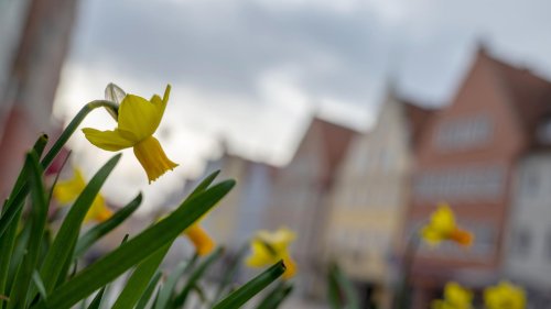 Wetter und Wetterthemen am 23. März: Sonntag mit einigen Schauern und Gewittern und weniger Sonne | wetter.de