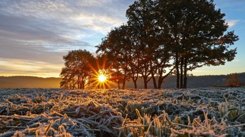 Wetter-Trend im Oktober 2022: Kälte, Sturm, Sonne, Frost - gibt es einen goldenen Herbst? | wetter.de
