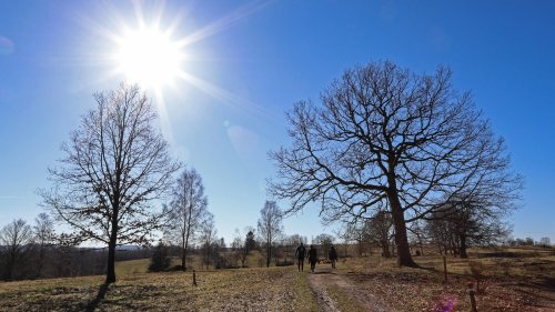 Wetterbericht für den 07.02.2023: Nach der Eisnacht bis -20 Grad strahlt die Sonne fast überall | wetter.de