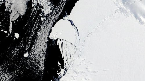 Antarktis: Riesiger Eisberg von der Größe Londons ist vom Festland abgebrochen | wetter.de