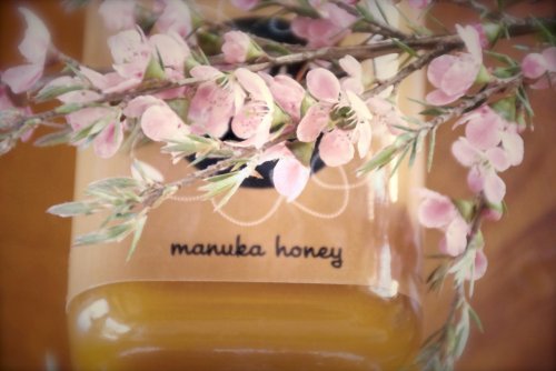 Whats the difference between manuka honey and regular honey