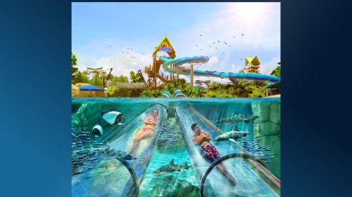 SeaWorld invites guests to ‘splash into summer’ with new attractions