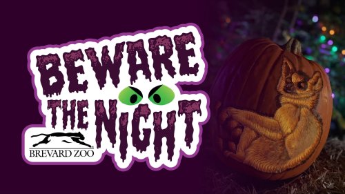 Brevard Zoo introduces ‘Beware the Night’ Halloween event