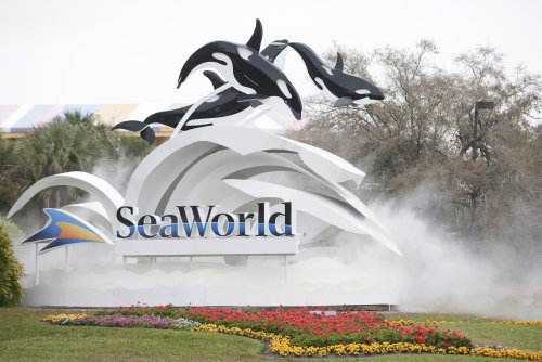 SeaWorld offering veterans and their families free one-day park ticket