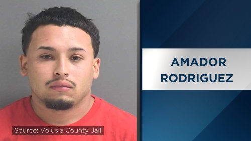 Sheriff: Deltona man crashes car into house before falsely reporting it stolen