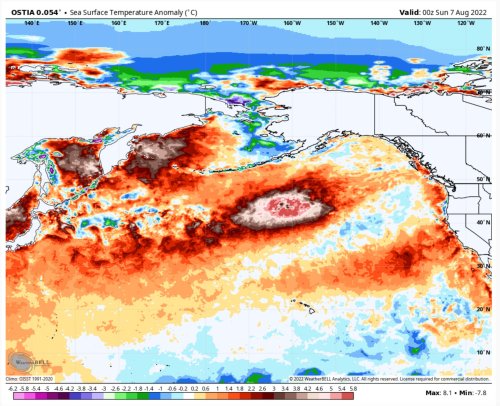 Marine Heat Wave in the North Pacific