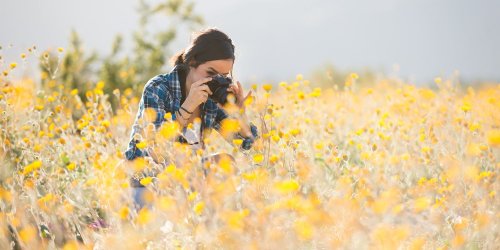 How to take great wildlife photography for spring 2021 - Which? News