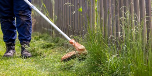 5 things to know if you're buying a grass trimmer - Which? News