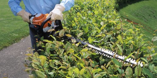 Five things to consider when buying a hedge trimmer - Which? News