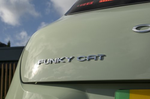 ORA Funky Cat 2023 Review