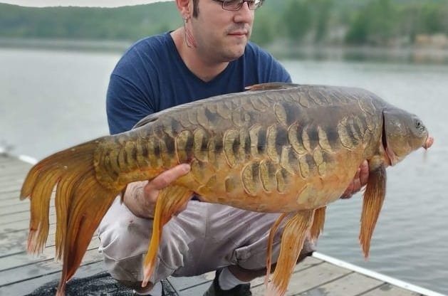 You've never seen a carp like this