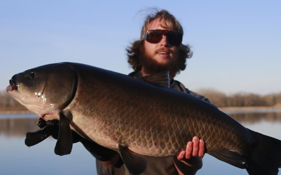 Minnesota Man Catches 112 Year Old Bigmouth Buffalo, The Oldest Freshwater Fish Ever Caught