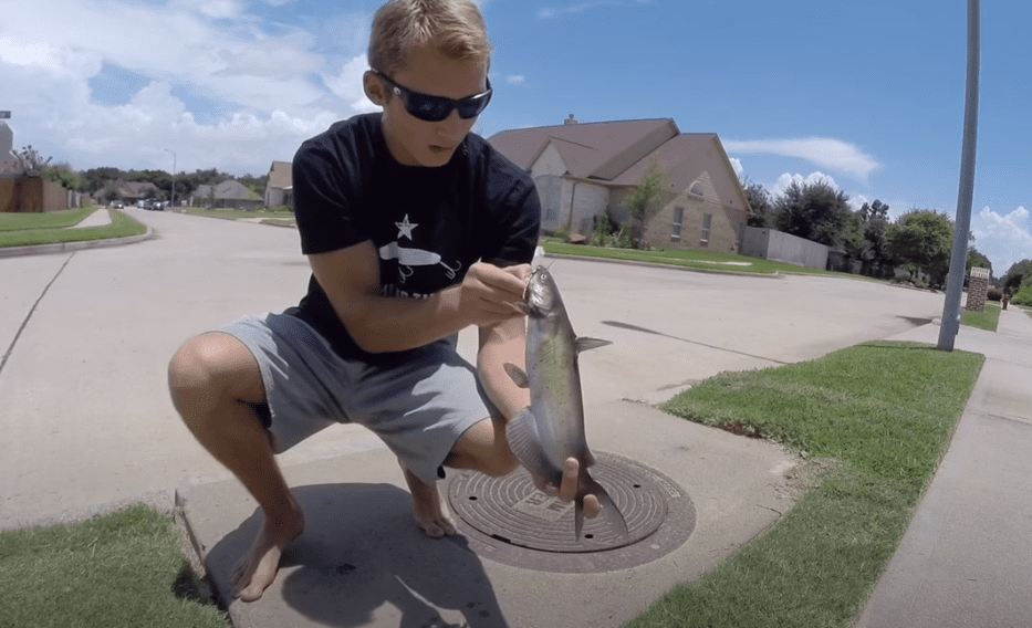 How To Catch More Fish In The Storm Sewer This Summer