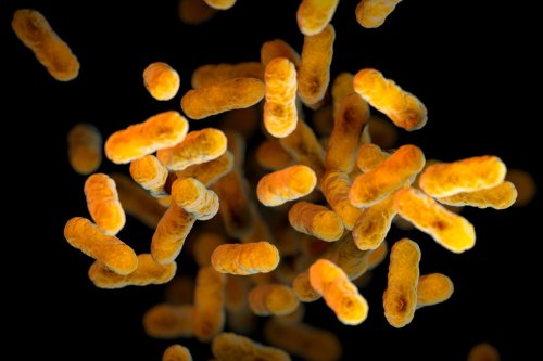 Pa. among states hit hardest with whooping cough cases, new numbers show