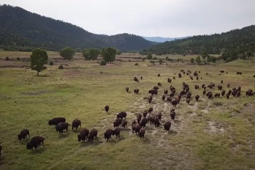 The 7 Largest Ranches in the United States