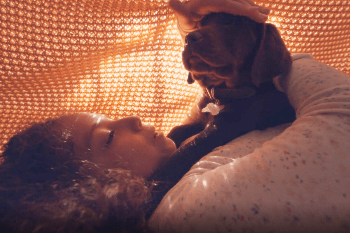 This Super Bowl Commercial Had Dog Lovers Everywhere Ugly Crying