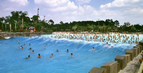 Woman Sues Disney World After Claiming Water Park Wave Permanently Scarred Her