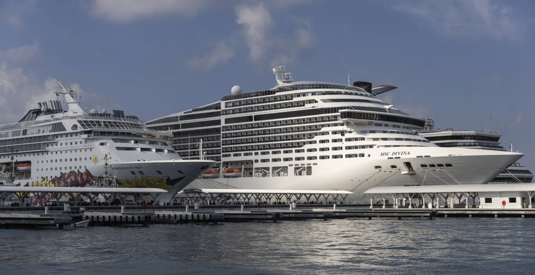 5 American Cruise Ship Passengers Arrested After Brawl