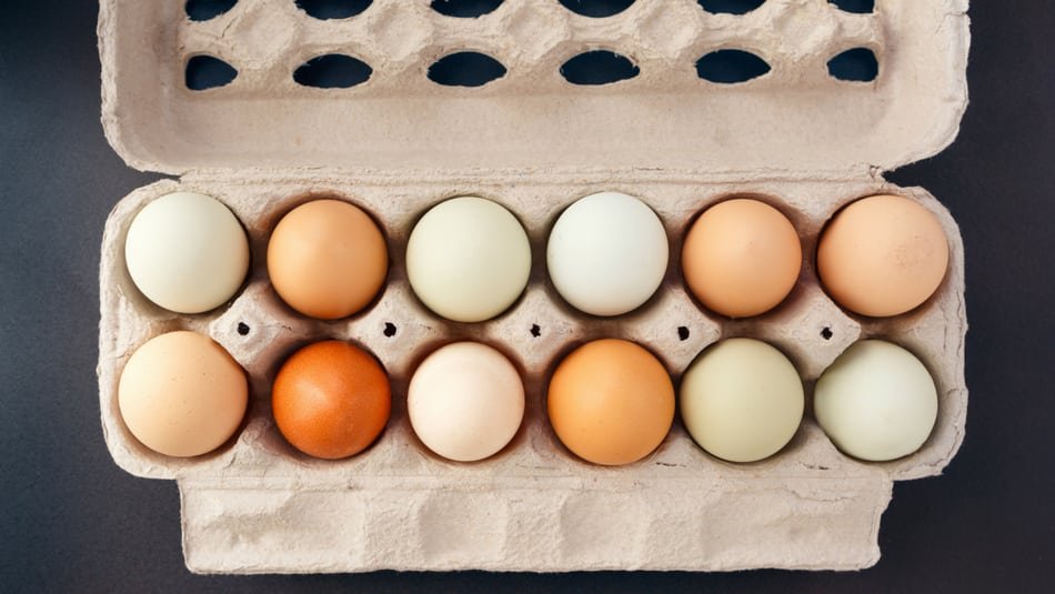 8 Egg Substitutes To Use When the Hen House is Empty