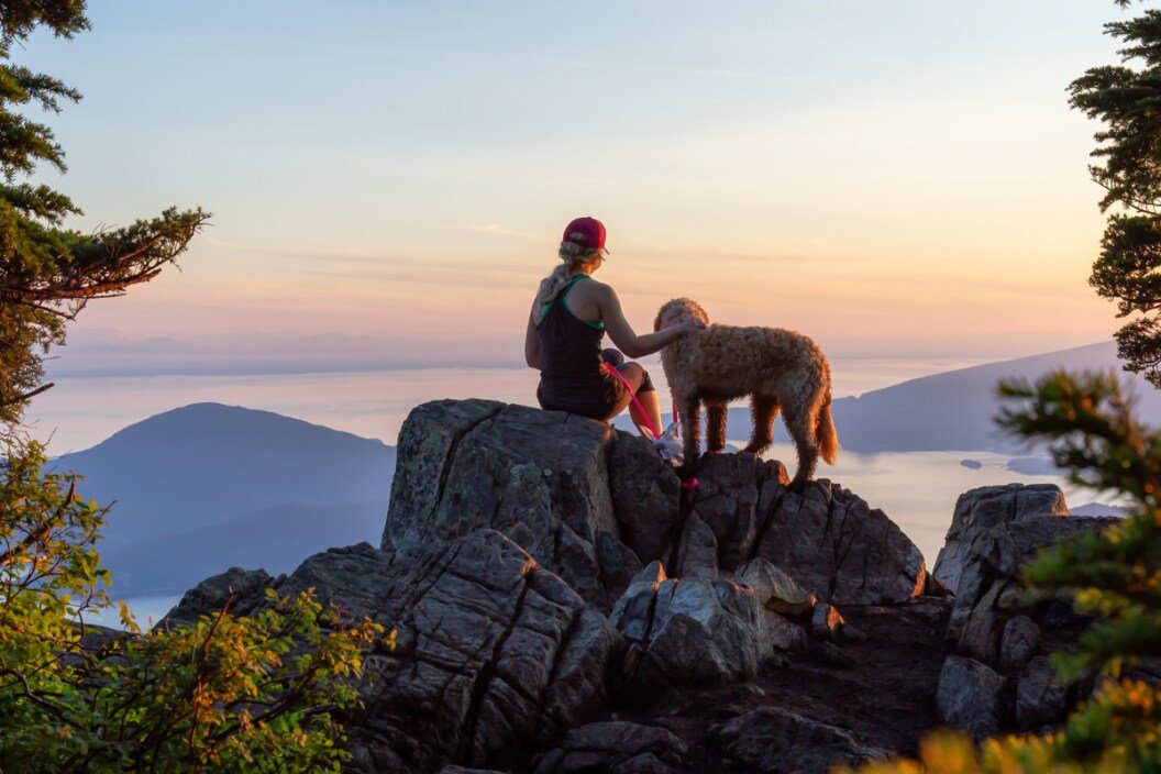10 Hiking Dogs That Make the Best Trail Companions