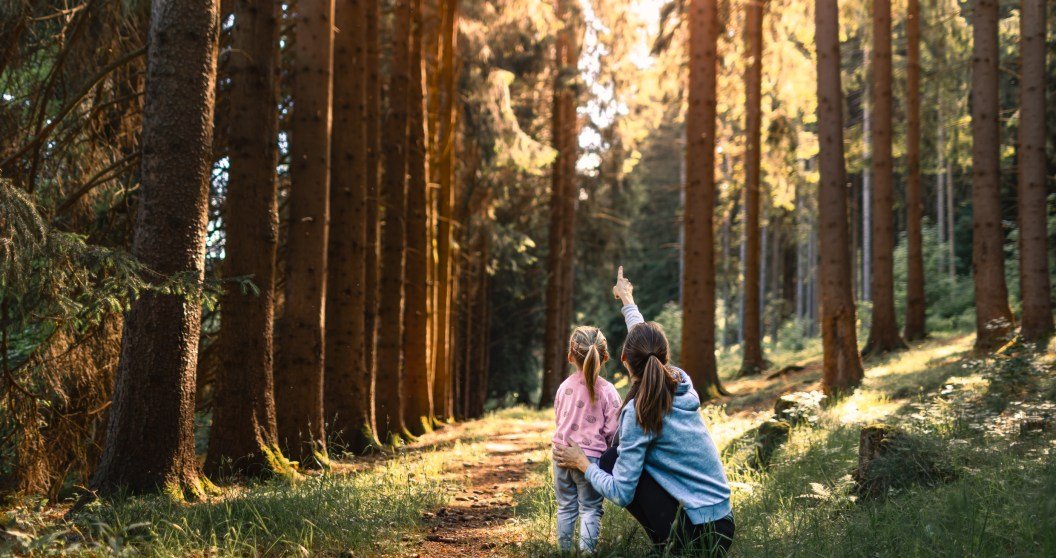 Top 7 Family-Friendly Outdoor Skills Every Child Should Learn