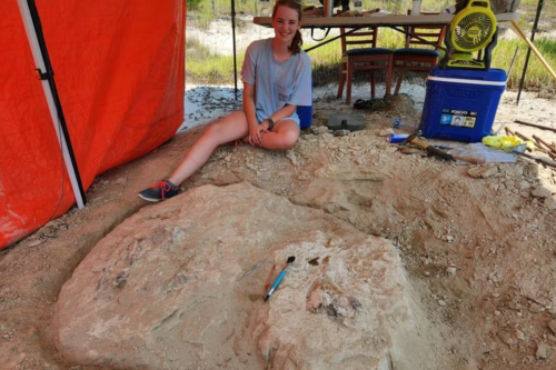 34-Million-Year-Old Whale Skull Discovered on Family Farm in Alabama