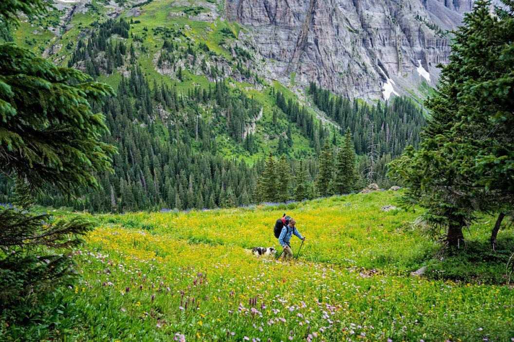 Top 5 States To Go Hiking In According To New Study