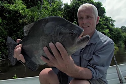 That Time Jeremy Wade Caught a Massive 6.5-Pound Piranha