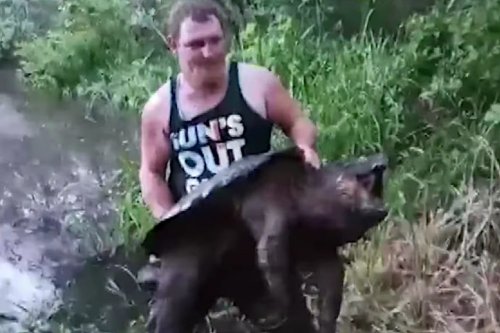 Texas Angler Catches and Releases Massive 100-Year-Old Alligator Snapping Turtle