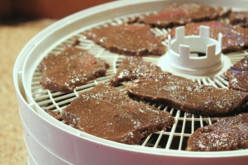 Here's The Best Dehydrators To Make Jerky With