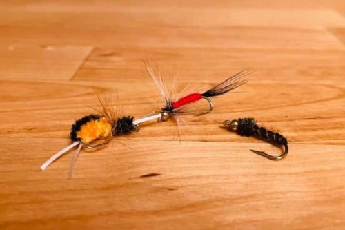 Top Flies to Tie for Beginners Who Are Just Starting Out