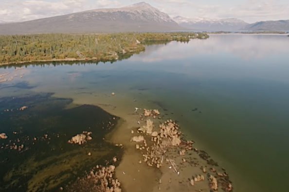 Iliamna Lake Monster: The Legend of Alaska's 30-Foot Freshwater Mystery Fish