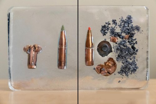 Lead Ammo vs. Non-Toxic Ammo: Understanding the Controversy
