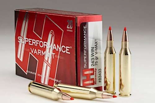  243 Ammo Our 10 Favorites For Varmints And Deer Flipboard