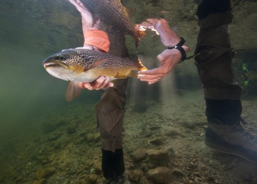 The 15 Best Places for Trout Fishing in the U.S.