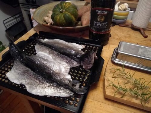 How to Cook Butterflied Rainbow Trout On the Grill