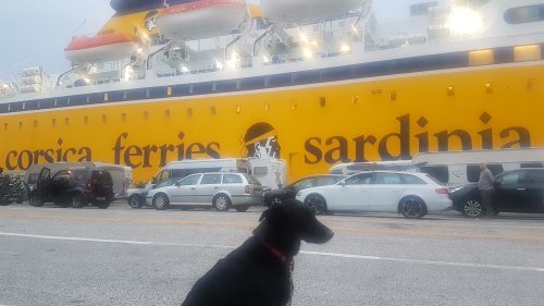 Fähre mit Hund: Sardinien. Alle Fragen und Antworten. | Wiederunterwegs.com