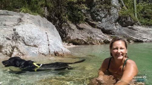 Badespaß mit dem Vierbeiner in Österreich: Baden mit Hund