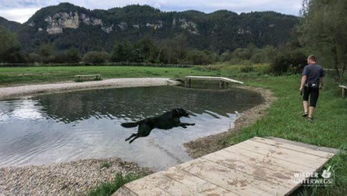 Camping mit Hund in Österreich: Tipps für hundefreundliche Campingplätze
