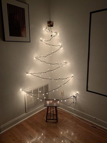 Der günstigste Weihnachtsbaum dieses Jahr