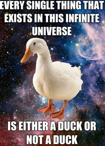 Alles ist eine Ente. Oder halt nicht.