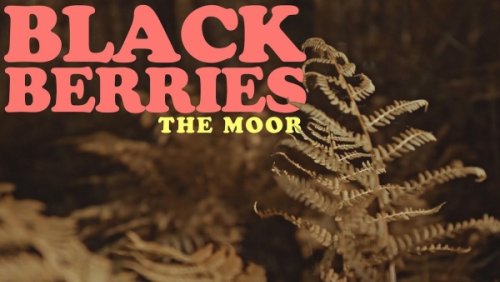 Blackberries – The Moor