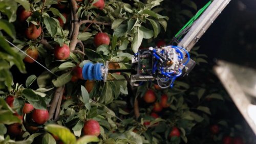 Ein Apfelpflückroboter