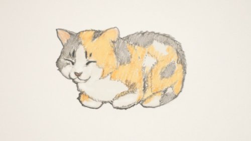 How to Draw a Cat: 4 Step-by-Step Tutorials