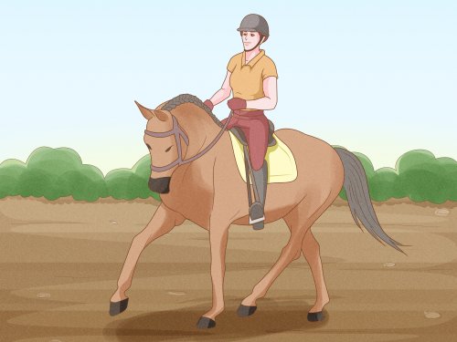 Begin Horseback Riding
