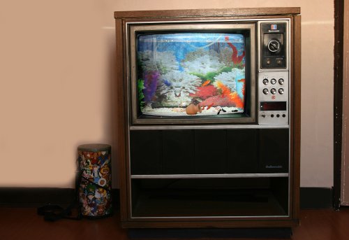 How to Convert an Old TV Into a Fish Tank: An Easy Guide